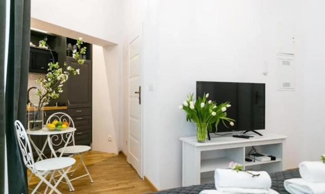 Apartment Old Town - Wielopole